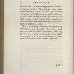 2858-0